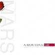 Beautiful Lie