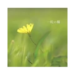 �ꗱ�̎�