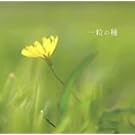 �ꗱ�̎�