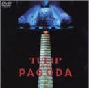 8�E11 �p�S�_-�C���E���m��- [DVD]