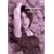 La Fille Naturelle : ���J�싞�q [DVD]