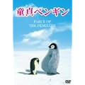 ����y���M�� [DVD]