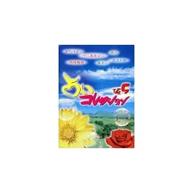 �肢�R���N�V���� Ver.5