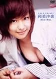 �t�@�C�u�X�^�[ �a�󍹖� �������̂����� [DVD]