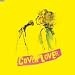 COVER LOVER PROJECT