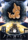 [DVD]天野月子 天野月子 年末スペシャル2002「メグに逢えたら」 [DVD]