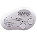 TOSHIBA �[�d���W�I TY-JR10-W