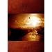 GOLDEN ROAD FILMS [DVD]