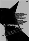 [DVD]布袋寅泰 DOBERMAN DVD