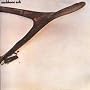 Wishbone Ash