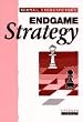 Endgame Strategy (Cadogan Chess Books)