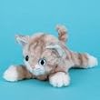 Happypet ���g�[�N�ɂ��g�[�N �A�����J���V���[�g�w�A