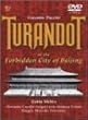 �v�b�`�[�j:�̌��u�g�D�[�����h�b�g�v [DVD]