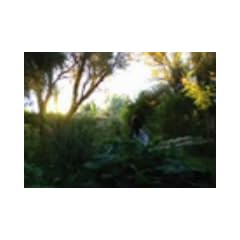 KOCHAB [DVD]