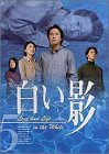 [DVD]中居正広 DVD白い影(5)