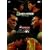 PRO-WRESTLING NOAH DESTINY2005 7.18�����h�[����� �S�������^�� [DVD]