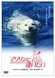 �}�������Ɉ������� [DVD]