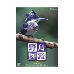 �쒹�}�� ��1�W [DVD]