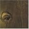 perverse eye on the  world �B