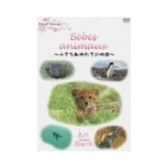 NHK DVD Bebes d�fanimaux-�����ȓ��������̕���-