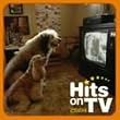 �q�b�c�E�I��TV 2004