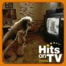 [CD]オムニバス ヒッツ・オンTV 2004