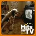�q�b�c�E�I��TV 2004