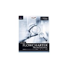 iGrafx FlowCharter 2000 Professional