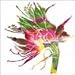 Drop You Vivid Colours