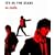 IT�fS IN THE STARS(��������)(DVD�t)