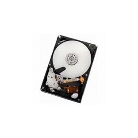 ���� HGST 3.5�C���`HDD(SerialATA)/�e��:2TB/��]��:7200rpm/�L���b�V��:32MB HDS722020ALA330
