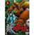 �V�Q�b�^�[���{(1) [DVD]