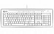 MACALLY MAC�p�p��ŃL�[�{�[�h M-IKEY5