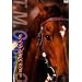 �e�C�G���I�y���I�[ ���I���삯��7���n [DVD]