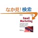 Email Marketing: Using Email to Reach Your Target Audience and Build Customer Relationships (7.5 x 9.25")