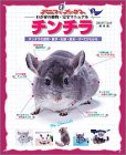  チンチラ―チンチラの飼育・医学・生態・歴史…すべてがわかる (スタジオ・ムック―アニファブックス-わが家の動物・完全マニュアル-)