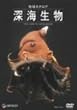 �n���J�^���O �[�C���� [DVD]