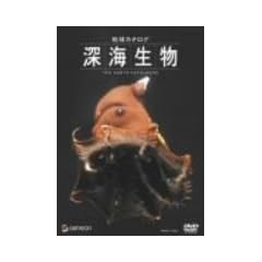 �n���J�^���O �[�C���� [DVD]