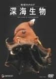 �n���J�^���O �[�C���� [DVD]