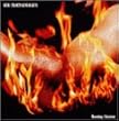 Burning Hammer(�����)
