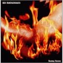 Burning Hammer(�����)