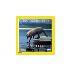 ���̔����I�I�J�~ [DVD]