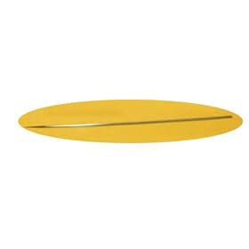 �G�A�e�b�N�X �j�[�h�� 0.6mm �t�H�[�J�X�E�G�{�����[�V�����E�O���t�H�p NA0.6