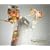 ROAD OF MAJORII(����)(DVD�t)