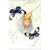 �n�`�~�c�ƃN���[�o�[II Vol.3 (��������) [DVD]