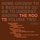 Home Grown: Guide to Understanding the Roots 2