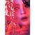 ����΁A�킪��~�e���ʕP [DVD]