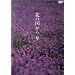 �k�̍����� Vol.9 [DVD]