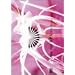 B.P.V.VOL.2(1999~2003) [DVD]