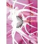 B.P.V.VOL.2(1999~2003) [DVD]